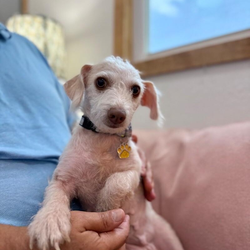 Willa Jean — thumbnail 4