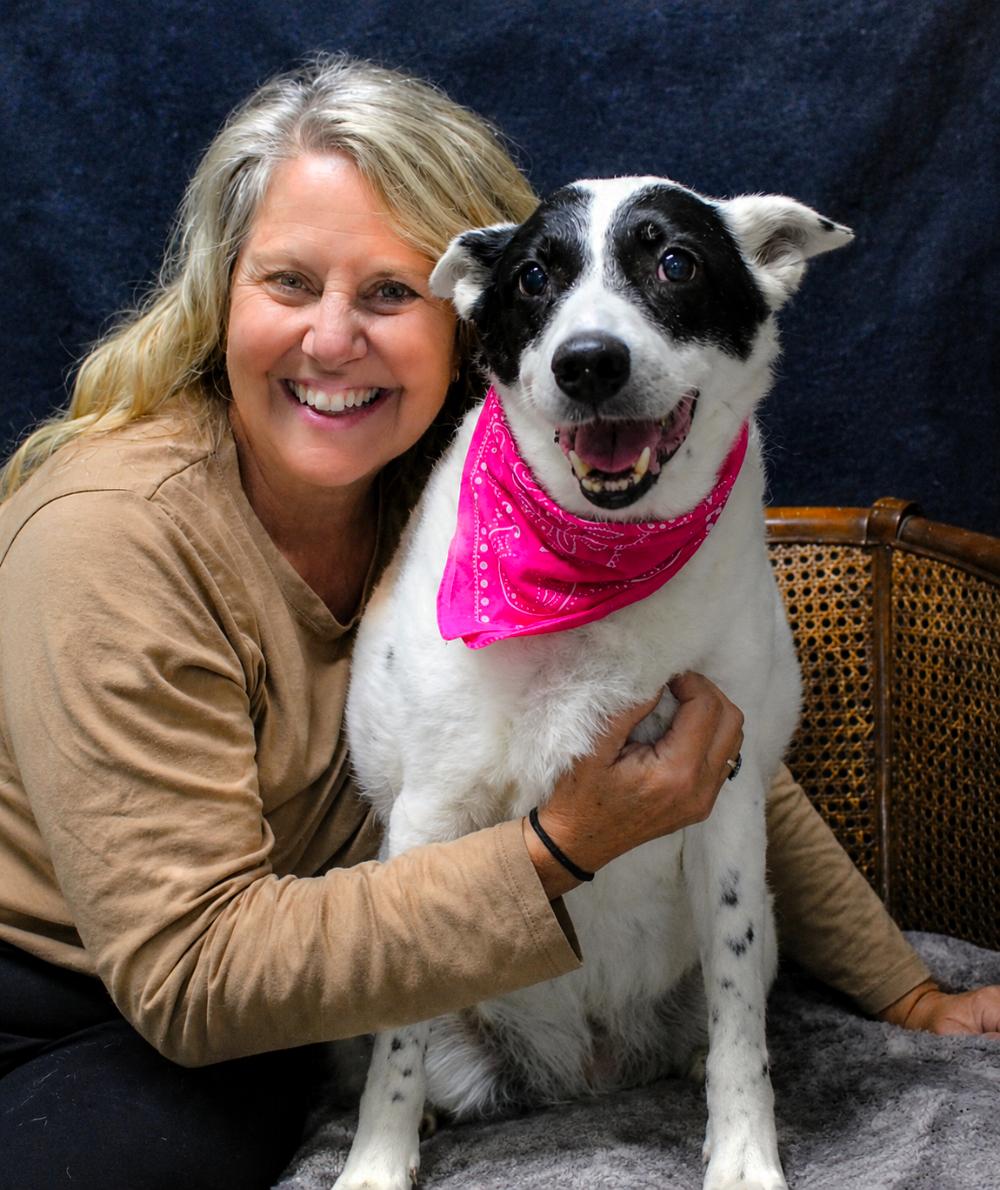 Enlarge Sadie, a ADOPTABLE mixed breed in Cheboygan, MI image 3/6