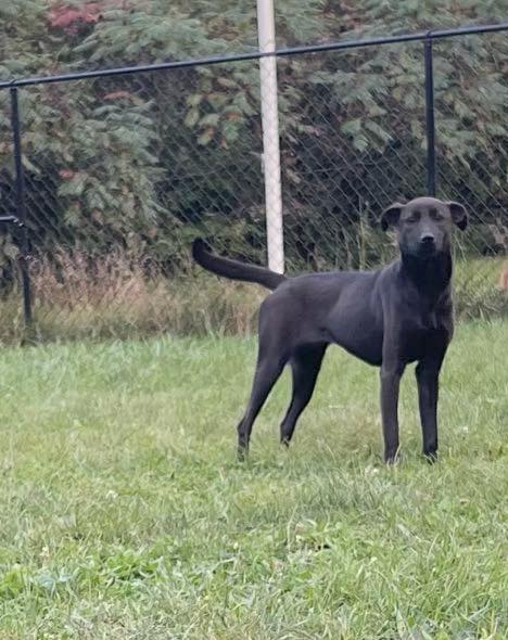 Luna photo 3