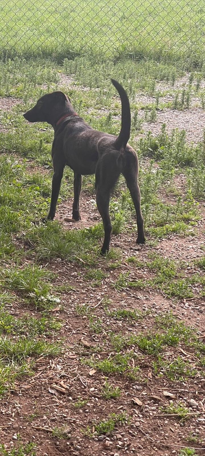 Luna photo 2