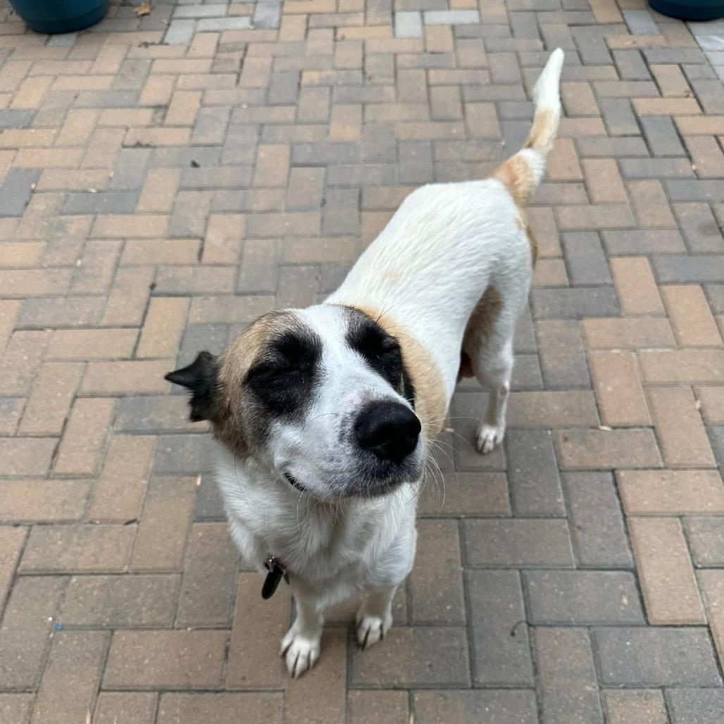 Maddison 21798 — thumbnail 4