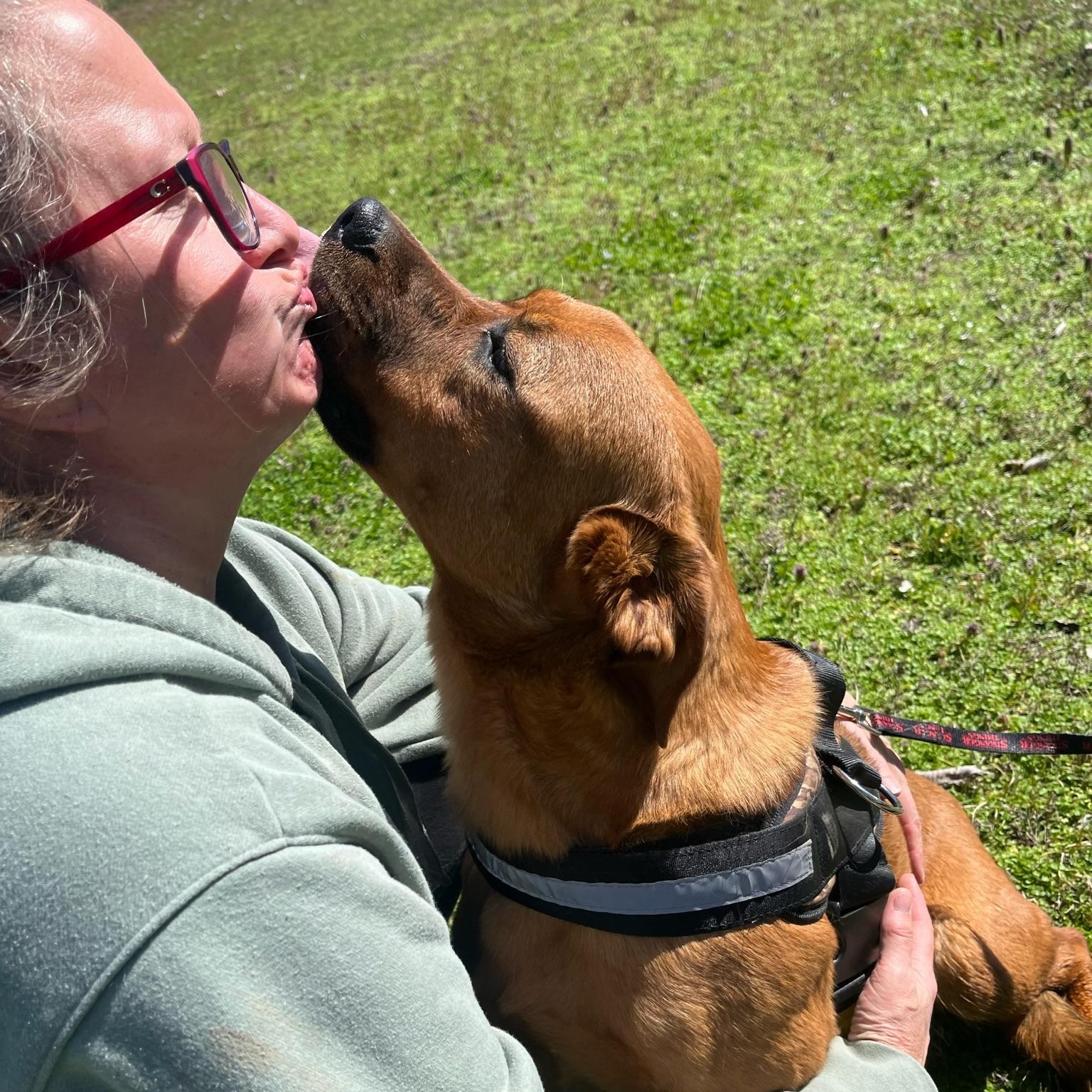STORMY , a ADOPTABLE mixed breed in Shawnee, OK image 4/4