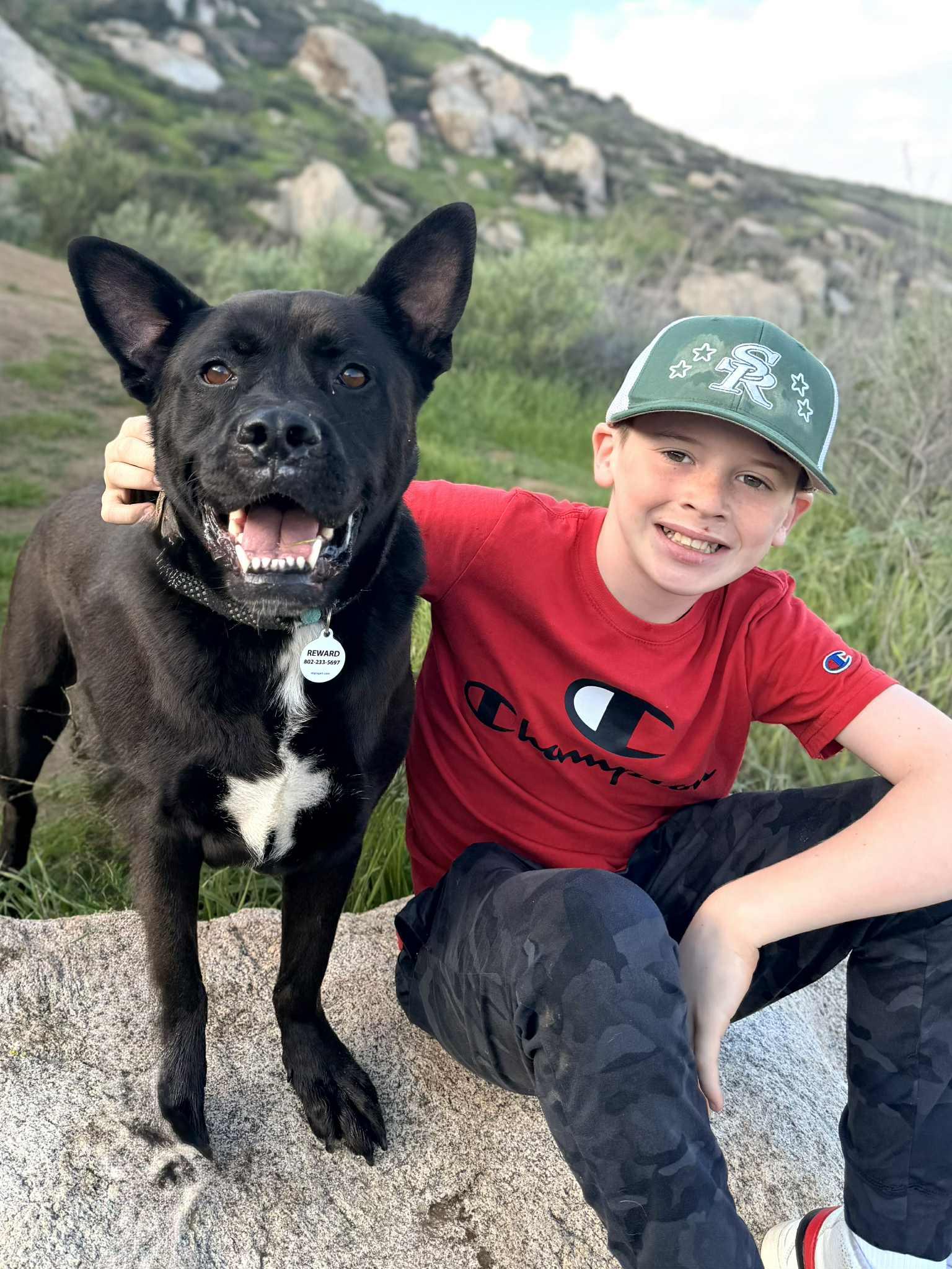 Enlarge Angel, a ADOPTABLE mixed breed in Los Angeles, CA image 3/6