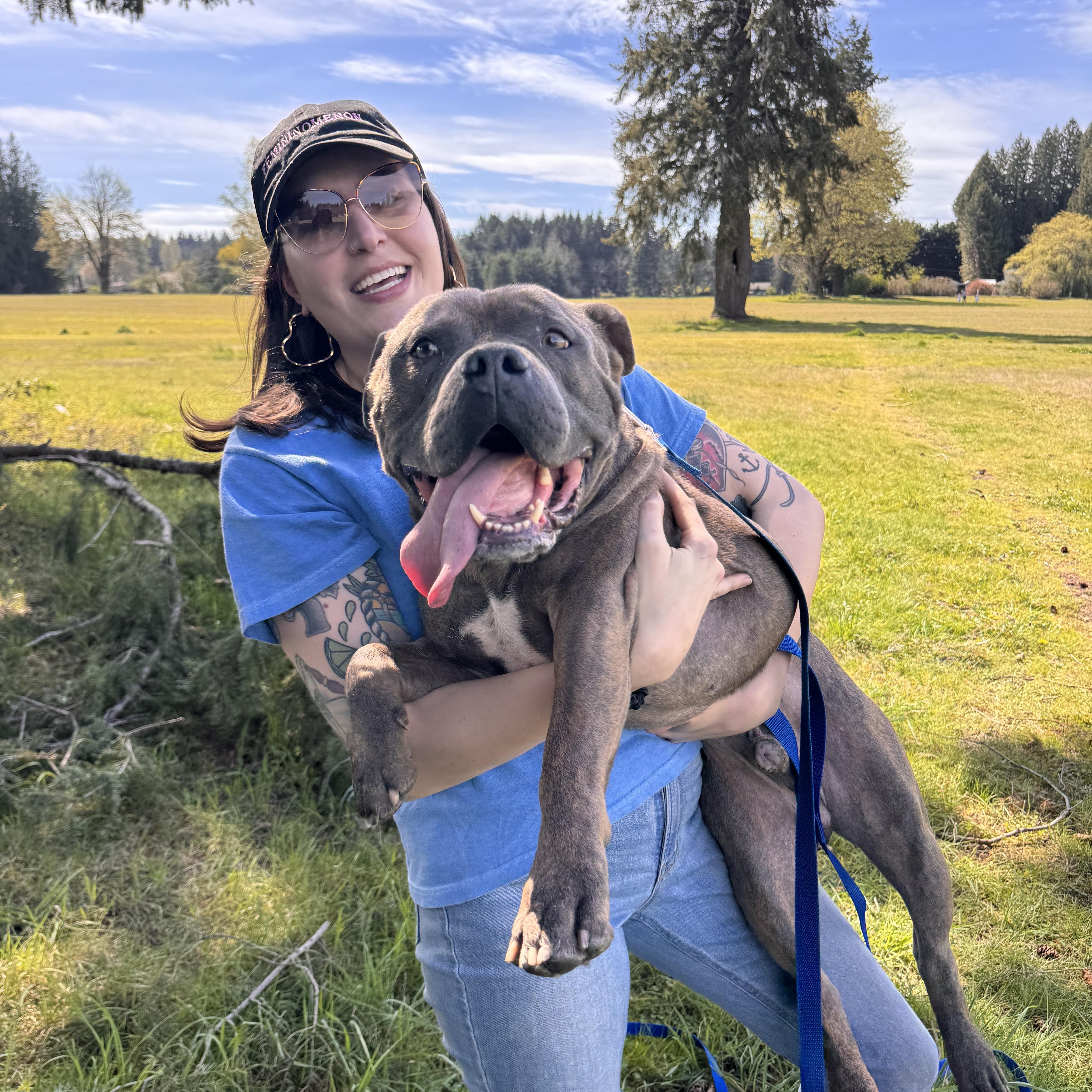 Enlarge Rocko, a Adoptable mixed breed in Olympia, WA image 6/6