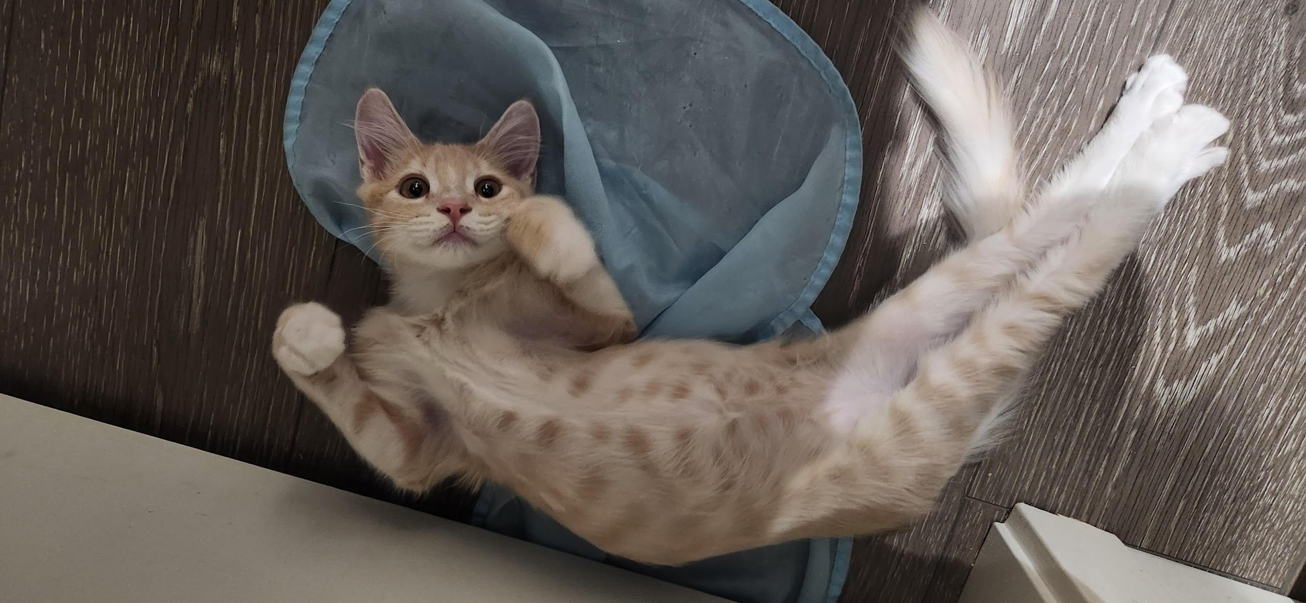 Luna