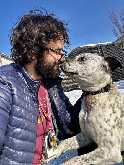 Enlarge Mr. Bridgerton, a Adoptable mixed breed in Wichita, KS image 3/3