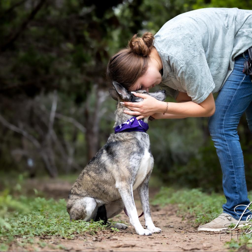 Iris VI — thumbnail 3