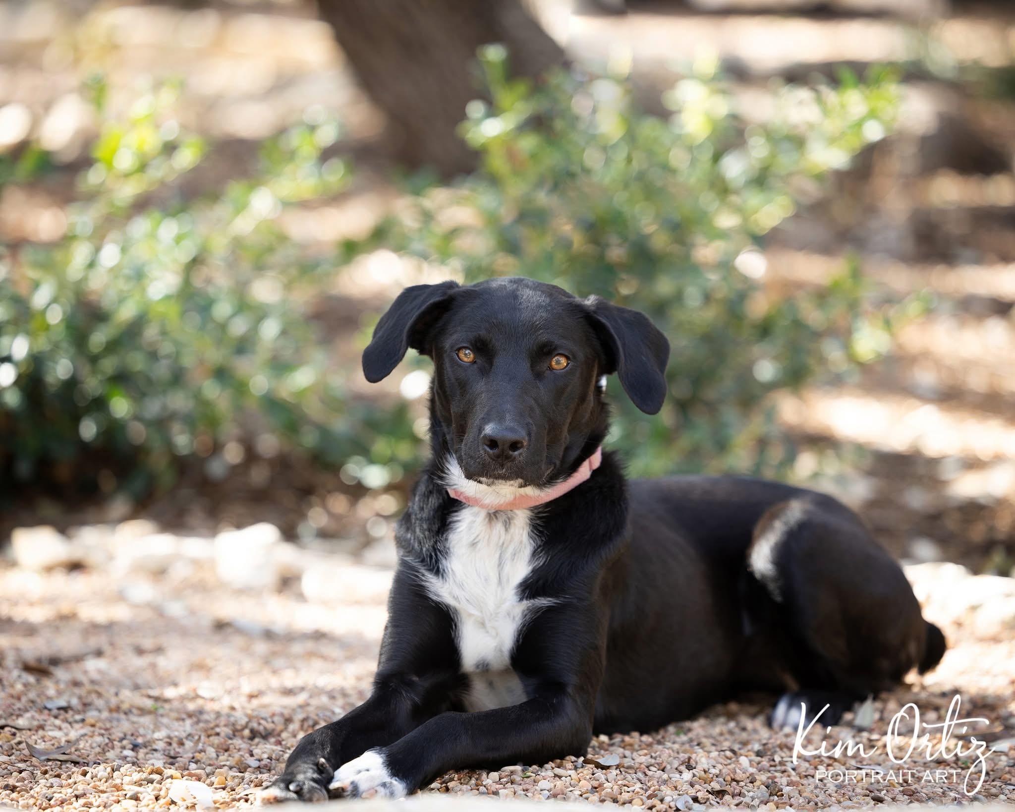 Daisy — thumbnail 2