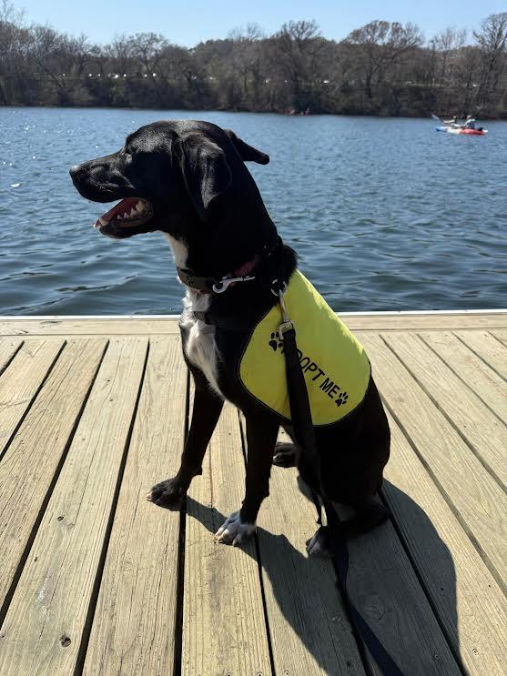 Daisy — thumbnail 4