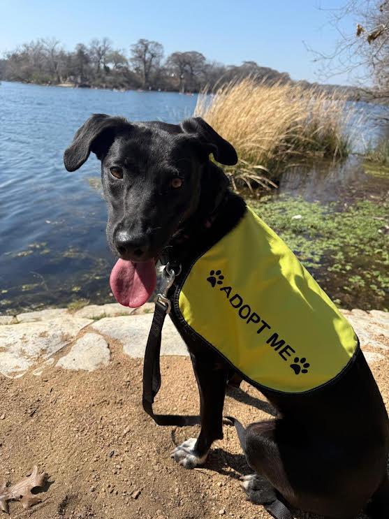 Daisy — thumbnail 5