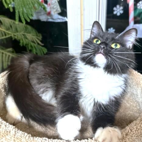 Magnificent Miley  Sweet thumbnail 2