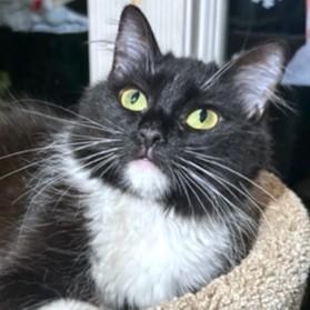 Magnificent Miley  Sweet thumbnail 3