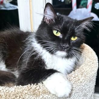 Magnificent Miley  Sweet thumbnail 6