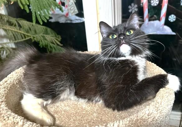 Magnificent Miley  Sweet thumbnail 7