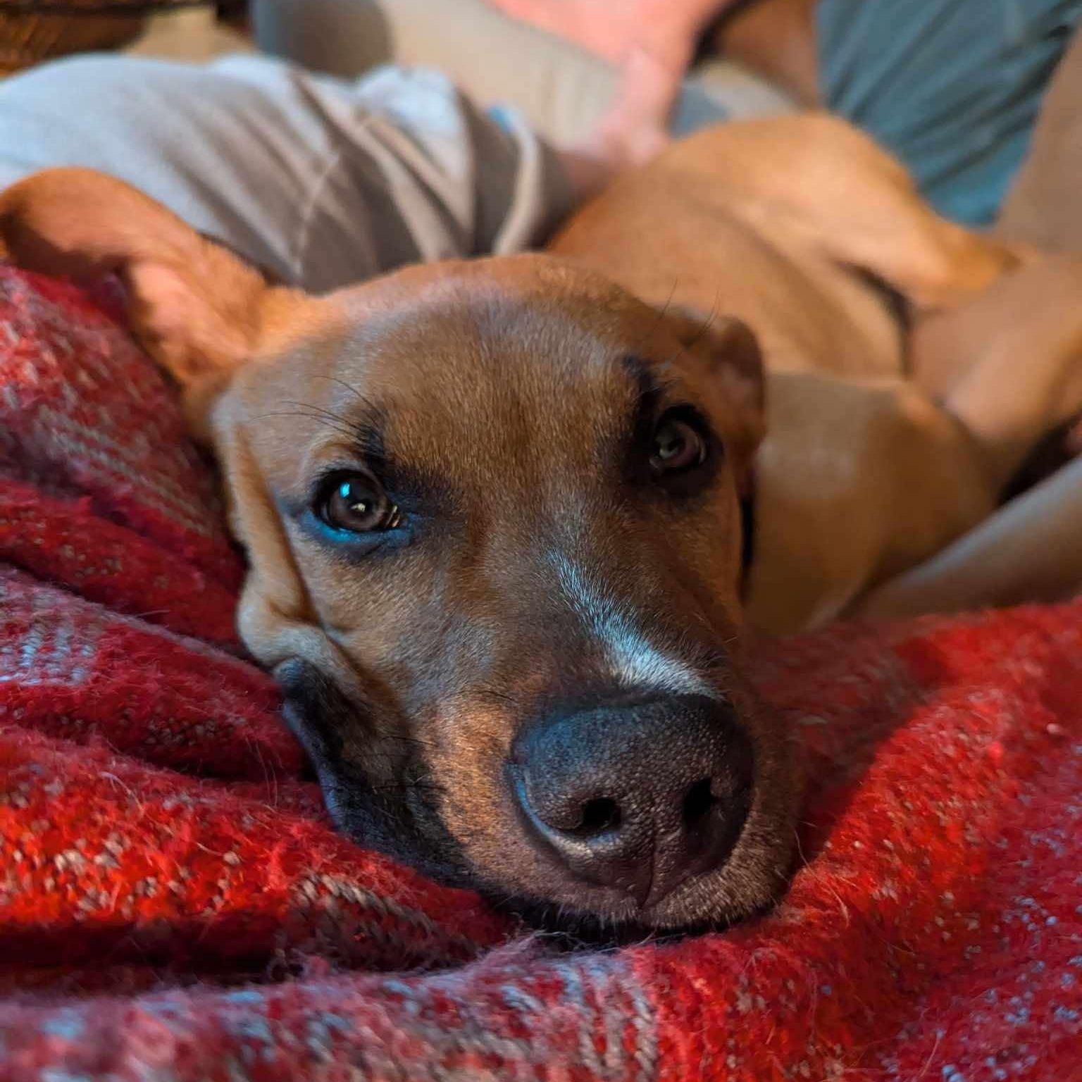 Tucker photo 5