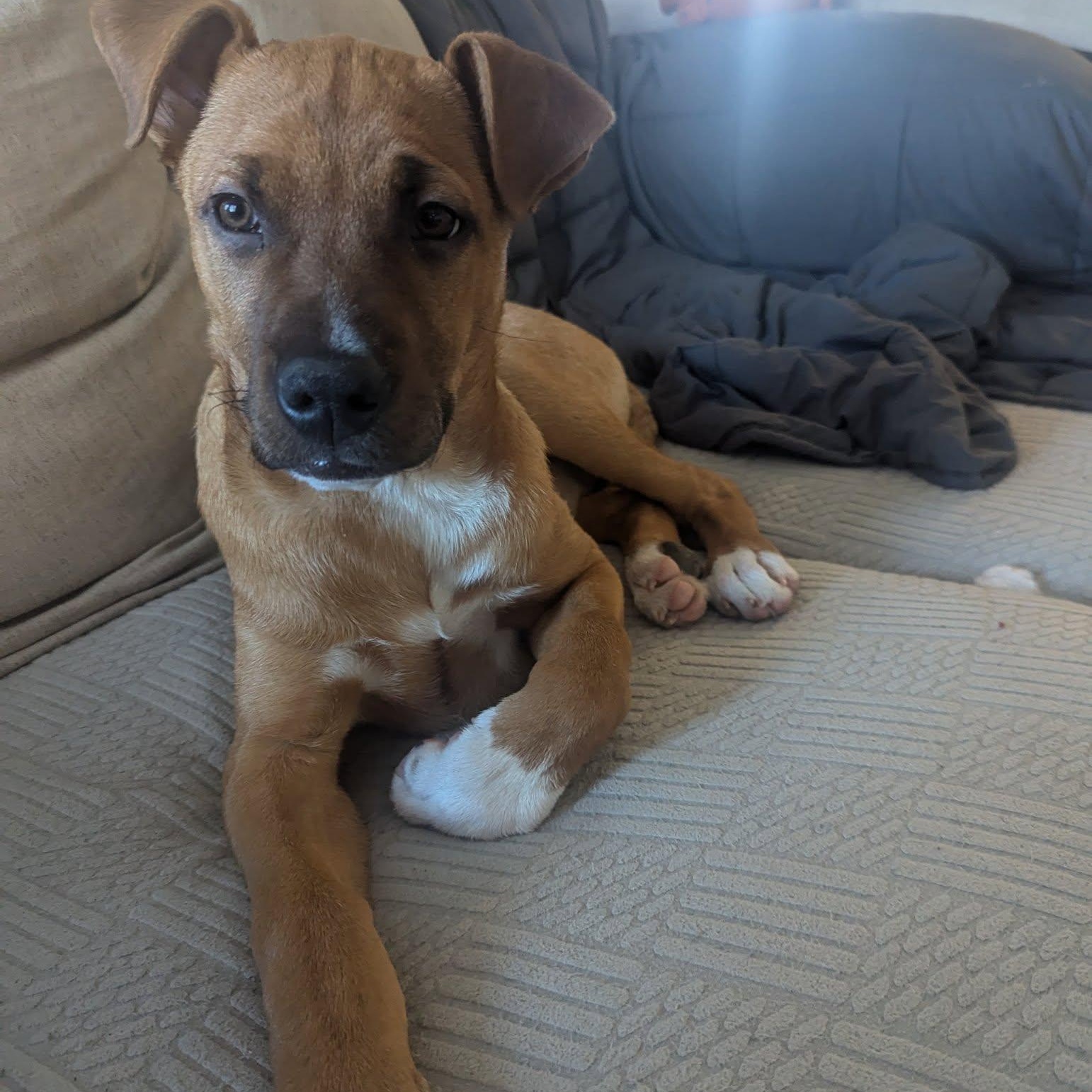 Tucker photo 6