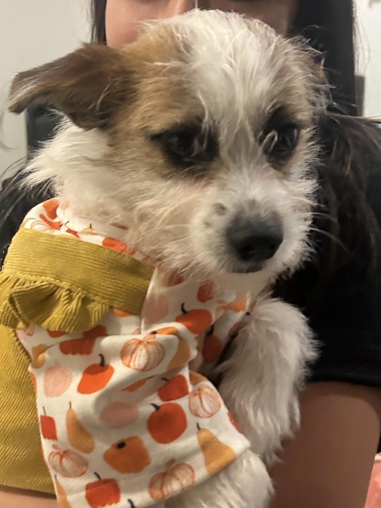 Alex — thumbnail 3