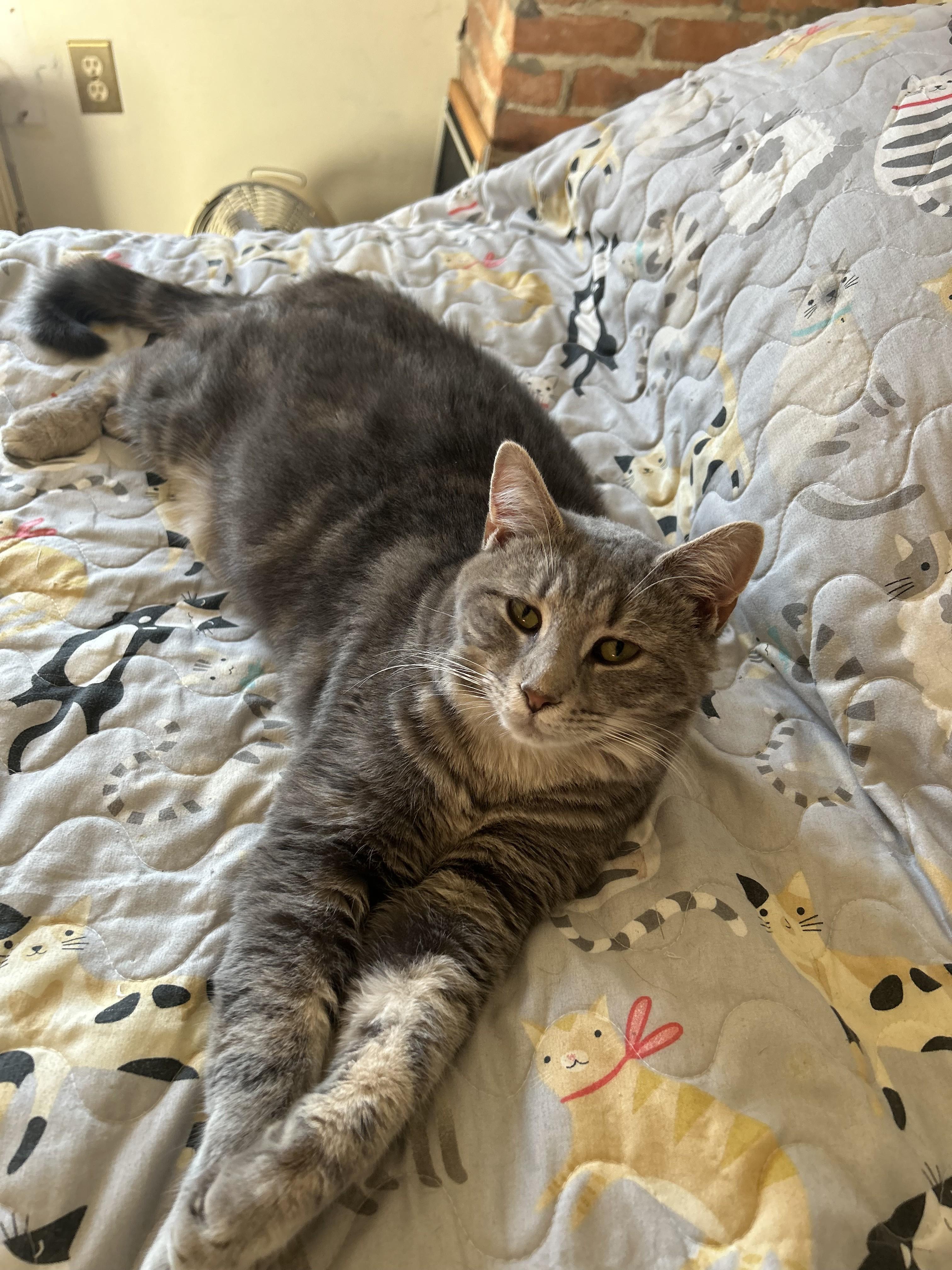 Almonzo and Laura Wilder