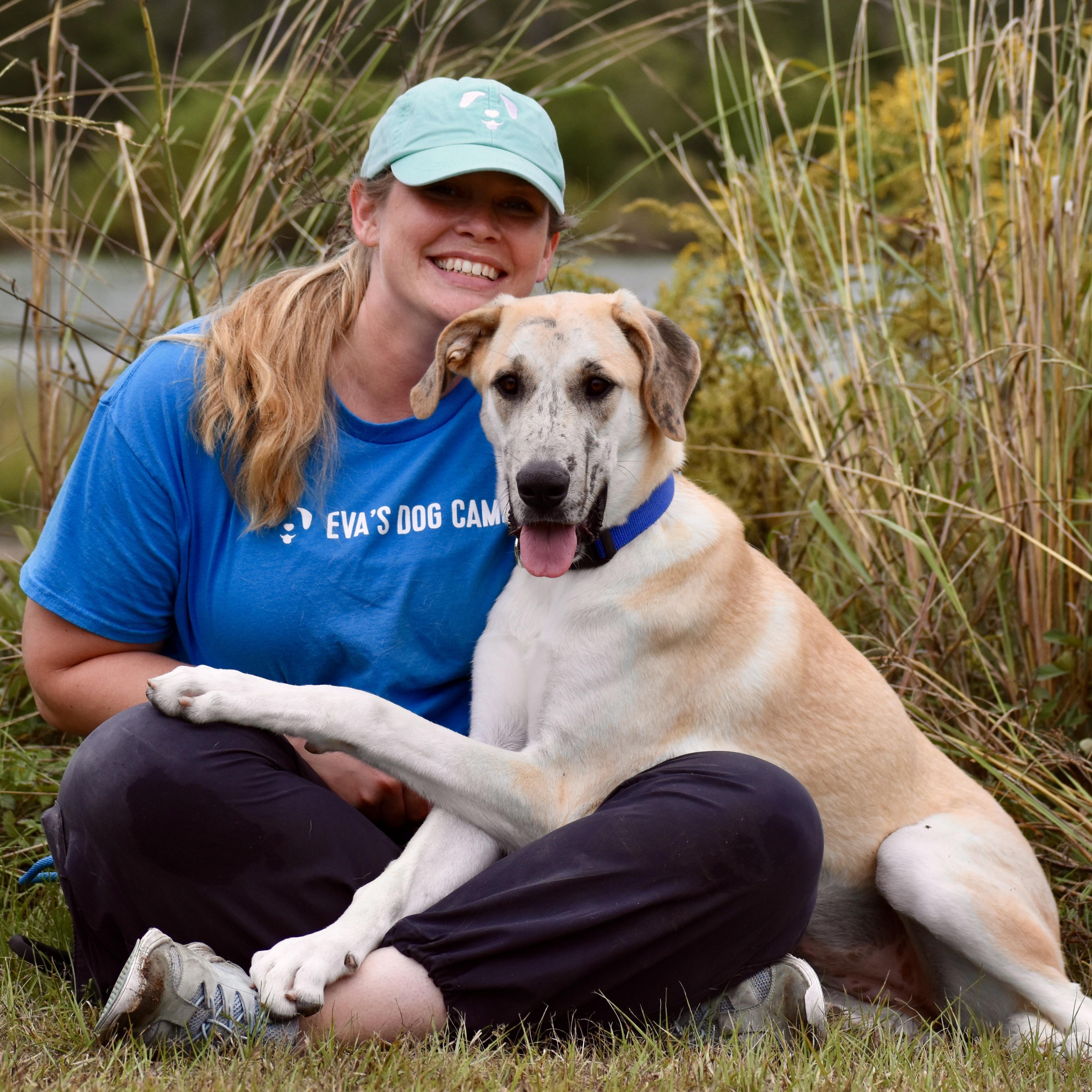 Enlarge Emma Meesseman, an adopted Great Dane in Brooklyn, NY image 3/3
