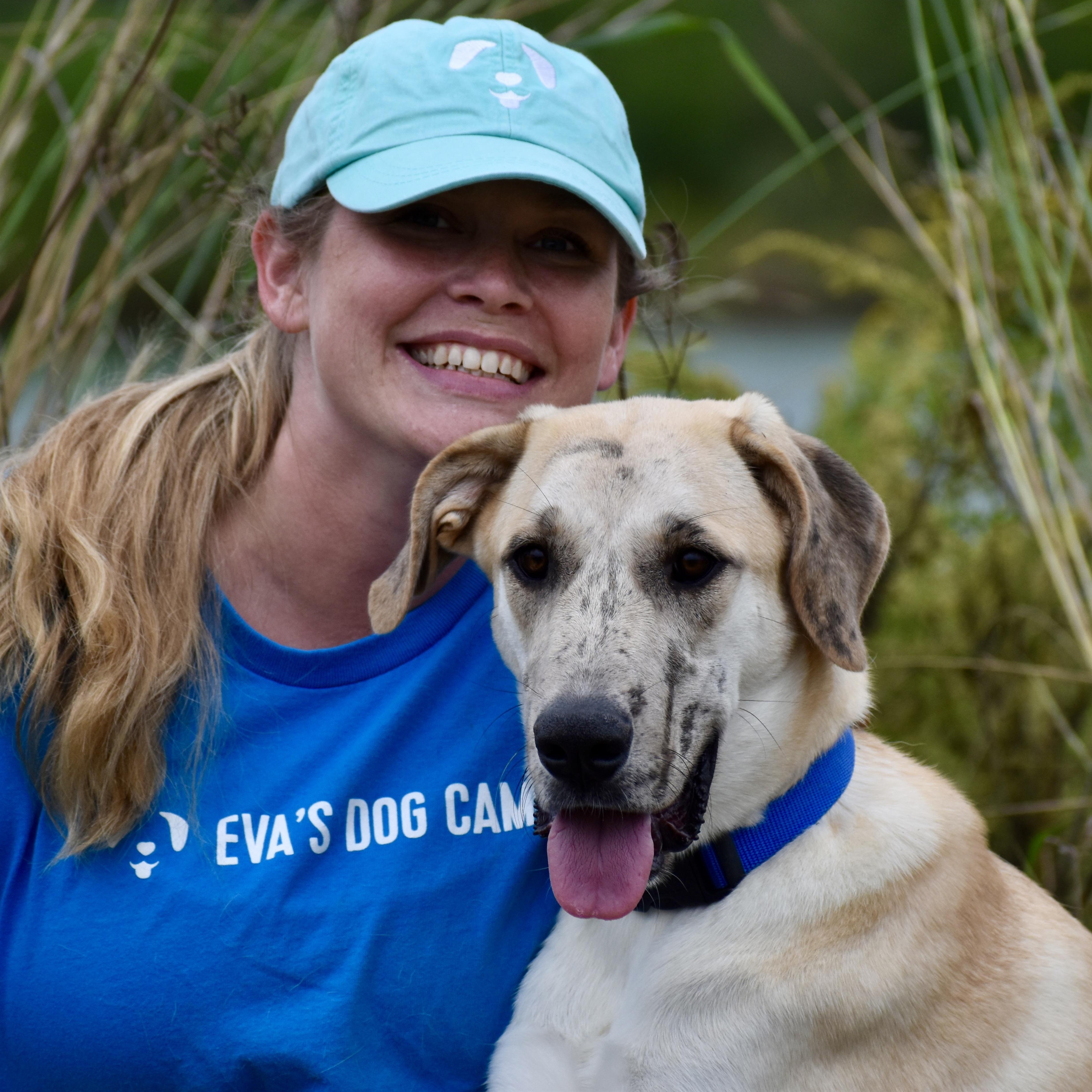Enlarge Emma Meesseman, an adopted Great Dane in Brooklyn, NY image 2/3