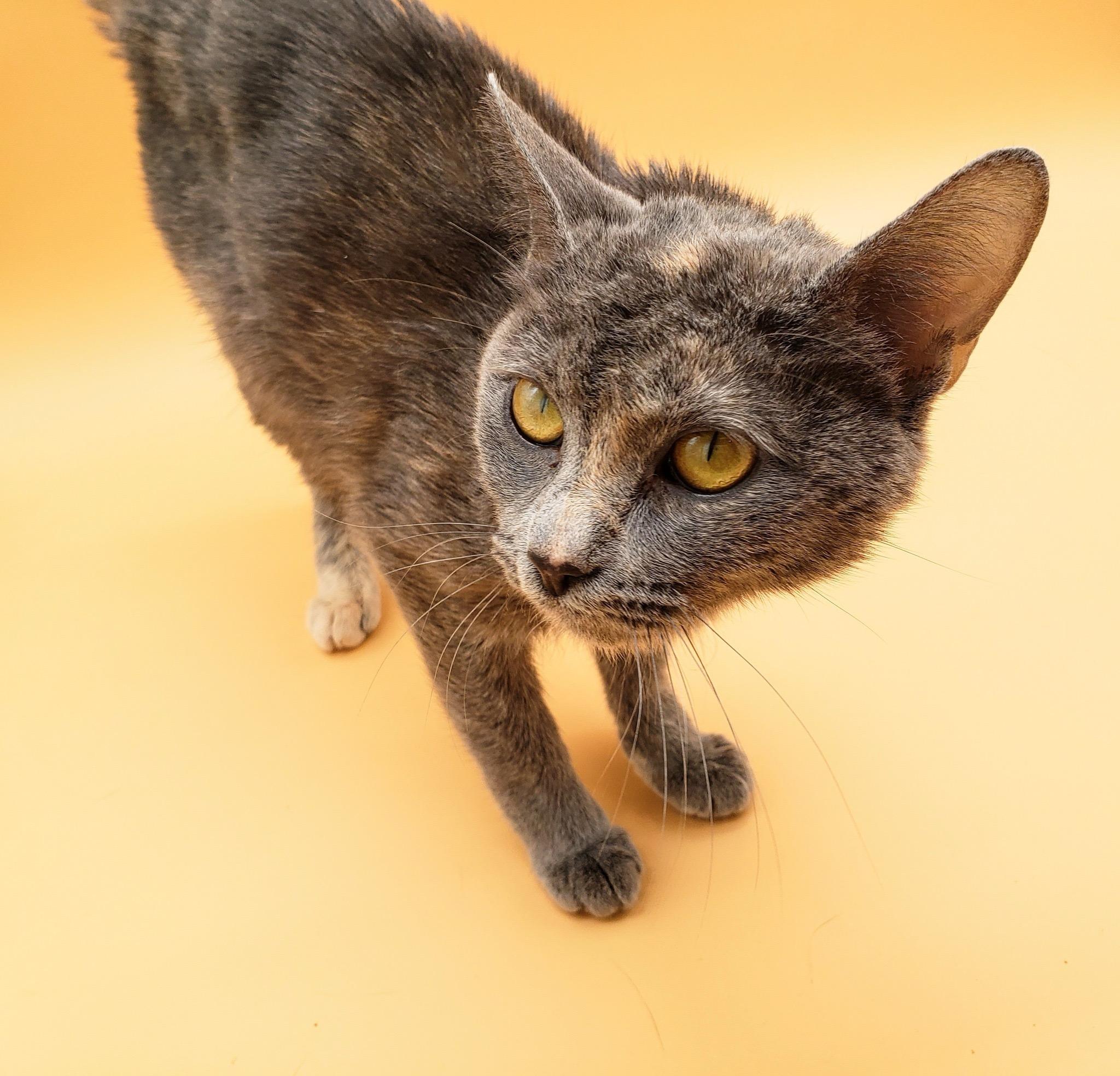 Marian — thumbnail 2