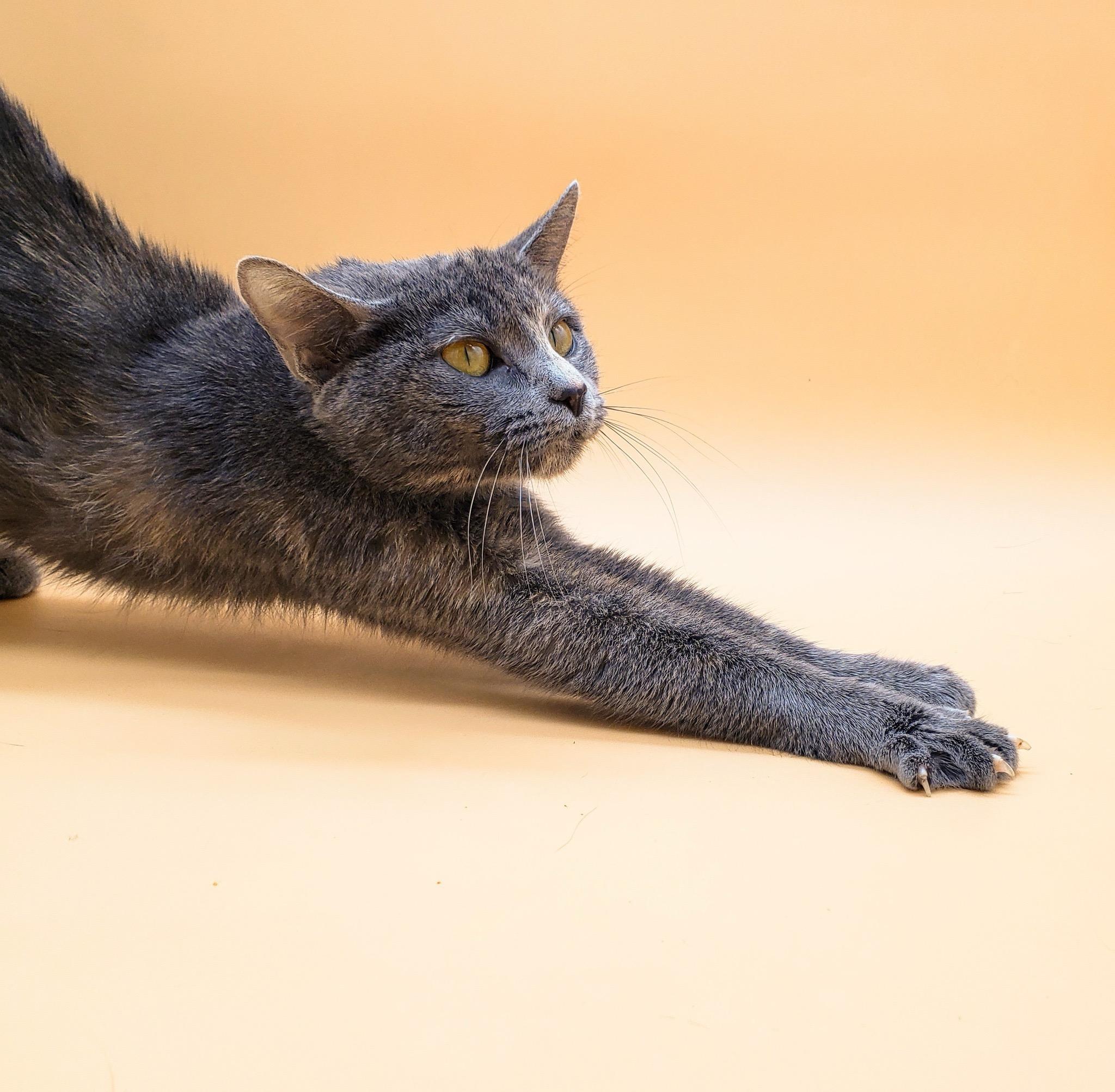 Marian — thumbnail 3