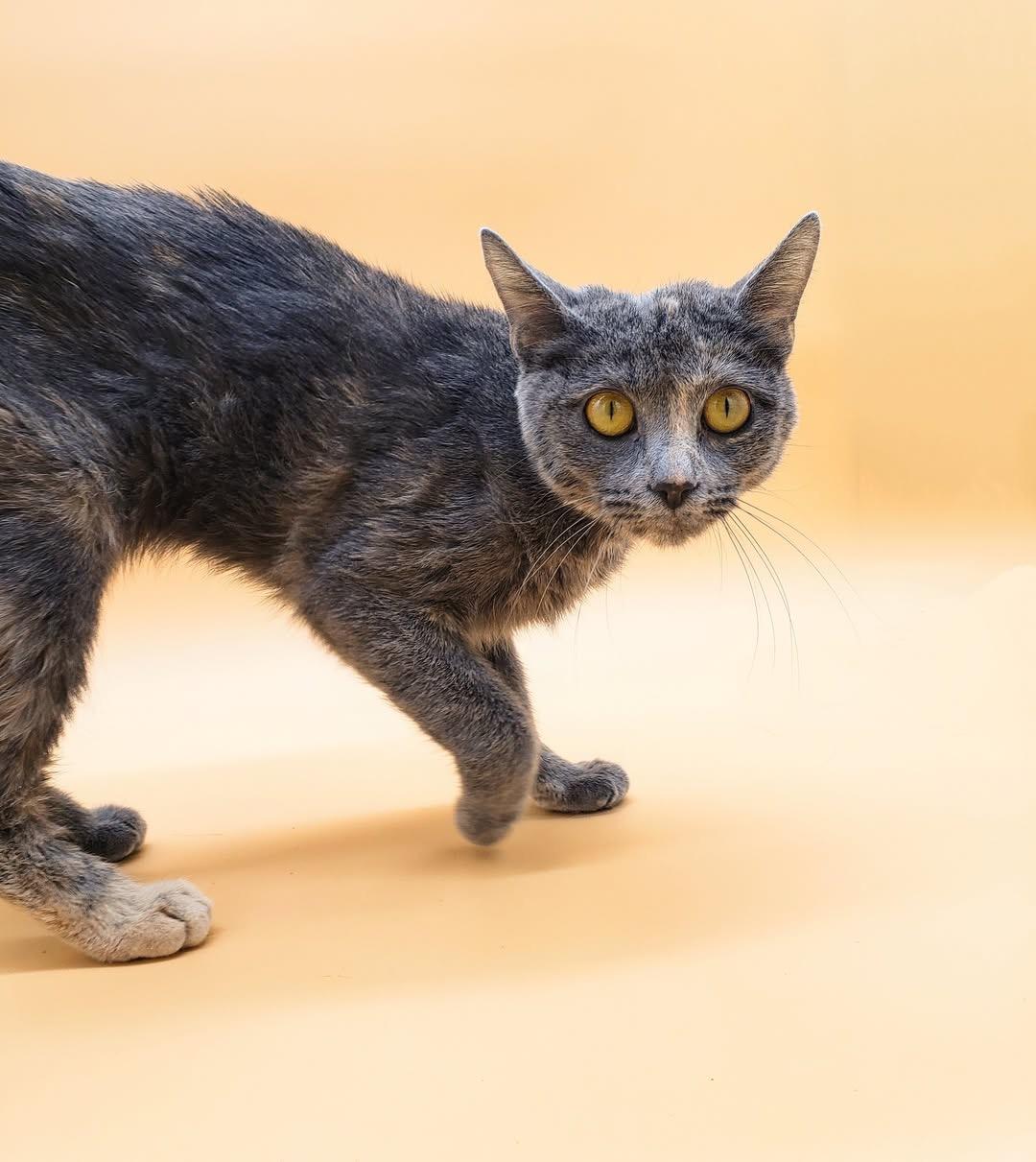 Marian — thumbnail 4