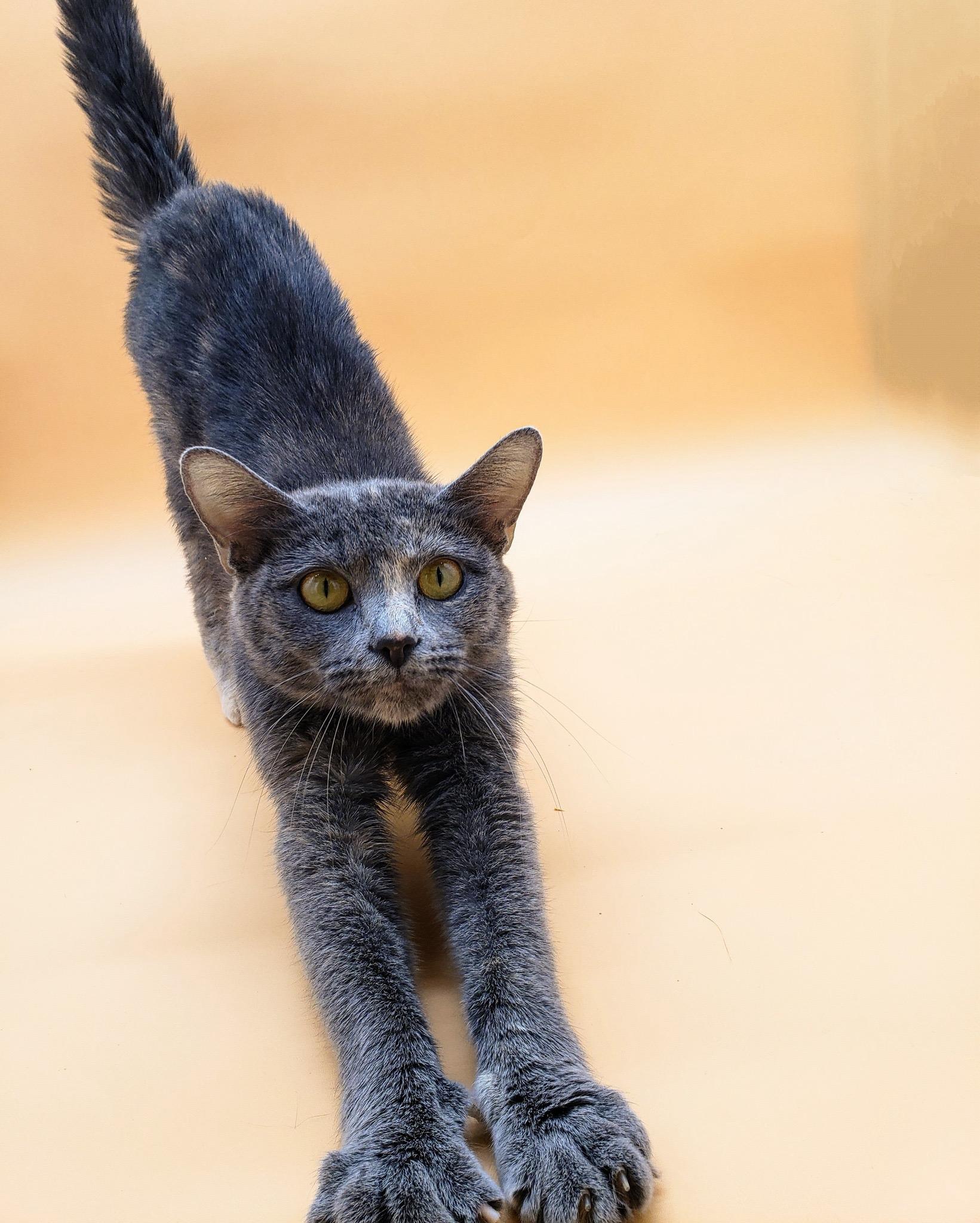 Marian — thumbnail 5