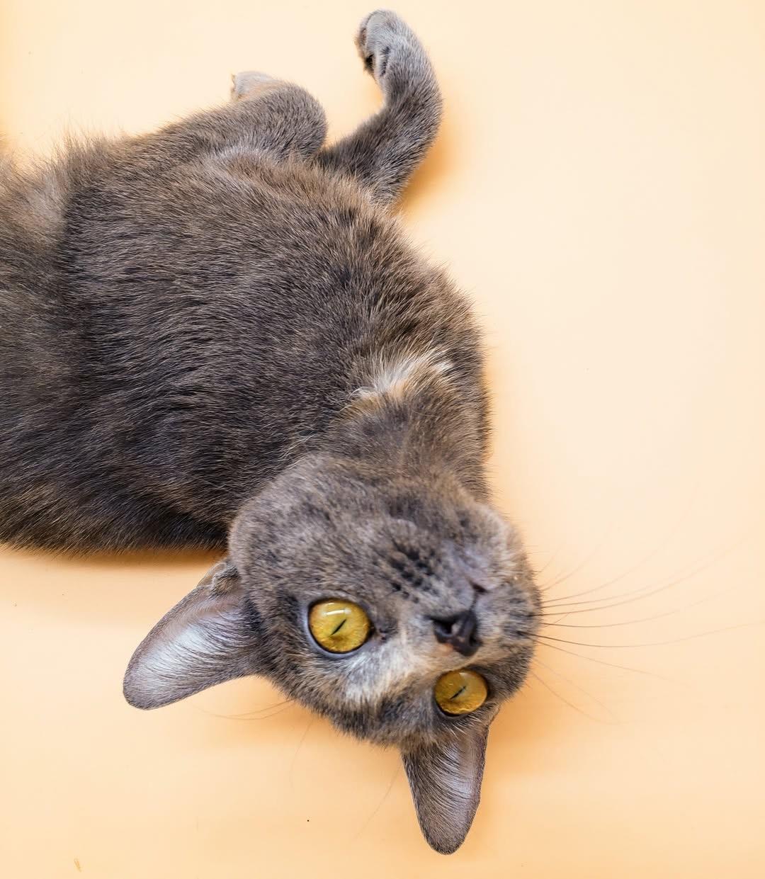 Marian — thumbnail 6