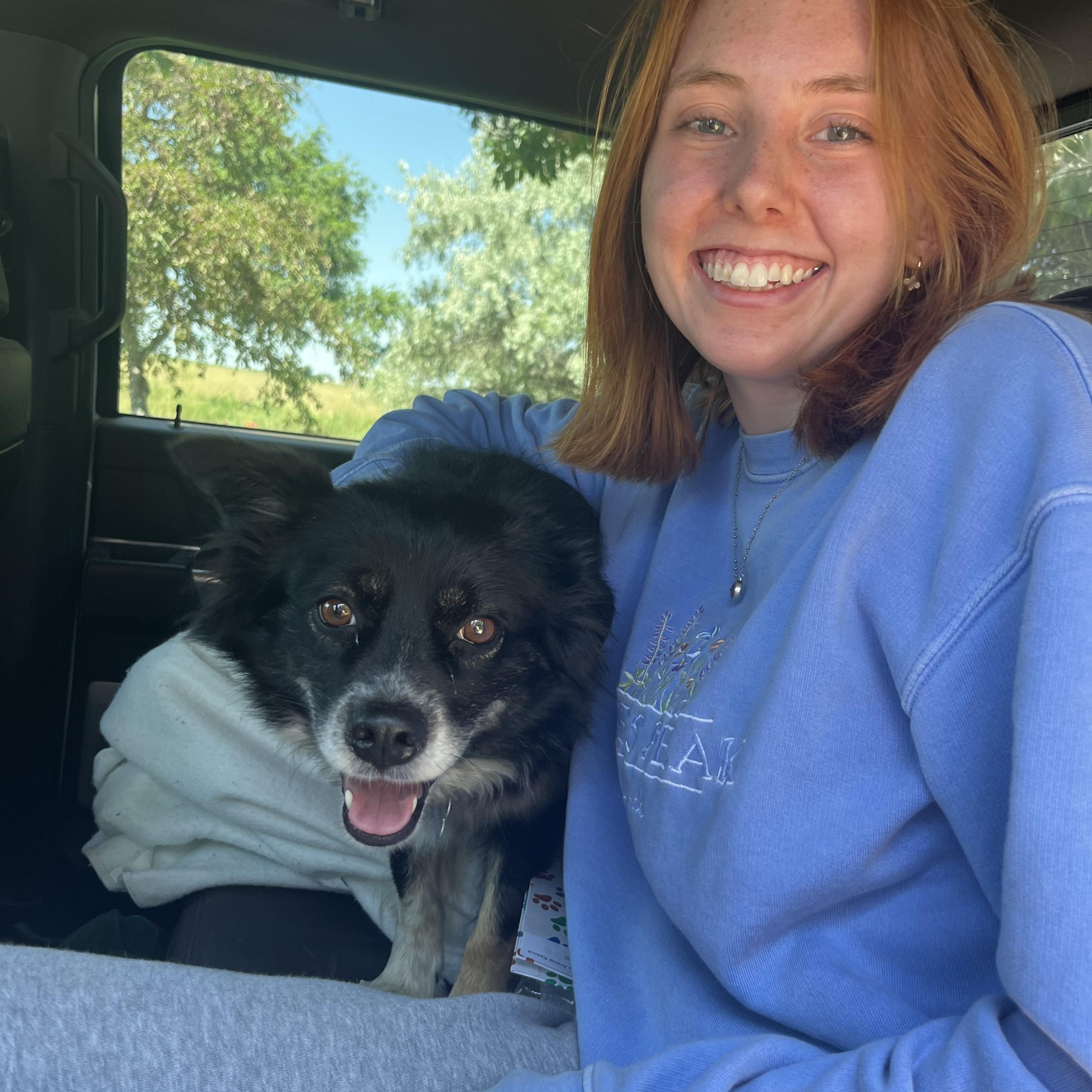 Enlarge Tinker, a Adopted mixed breed in Colorado Springs, CO image 2/2