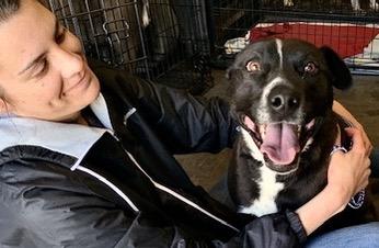Enlarge Willow, a Adoptable mixed breed in San Luis, CO image 5/5