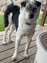 Zeke