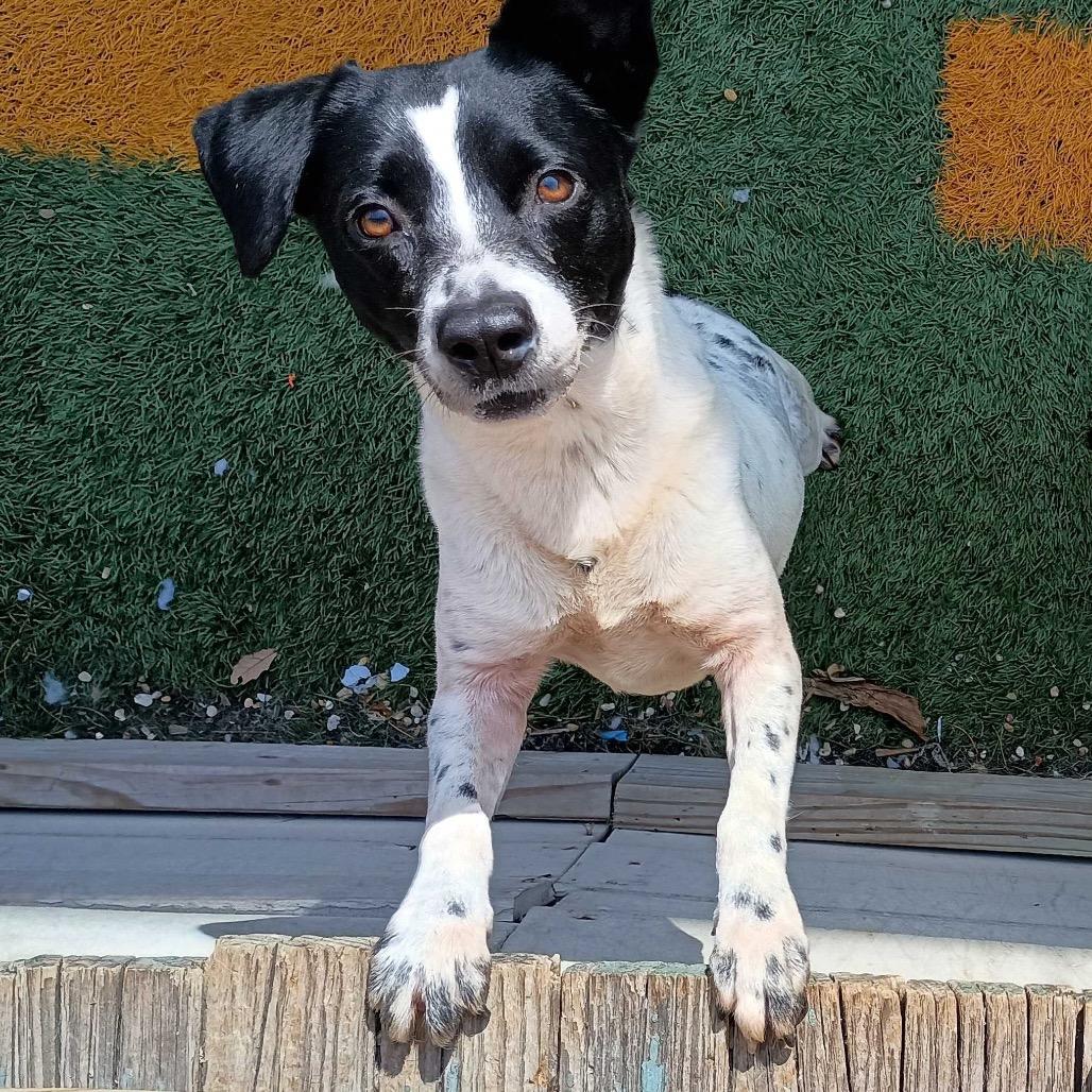 Michelle — thumbnail 2