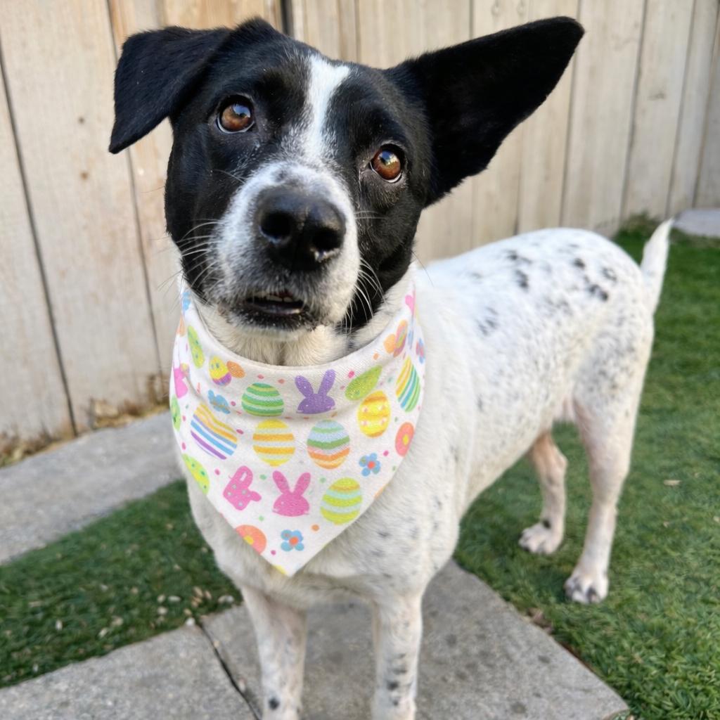 Michelle — thumbnail 3