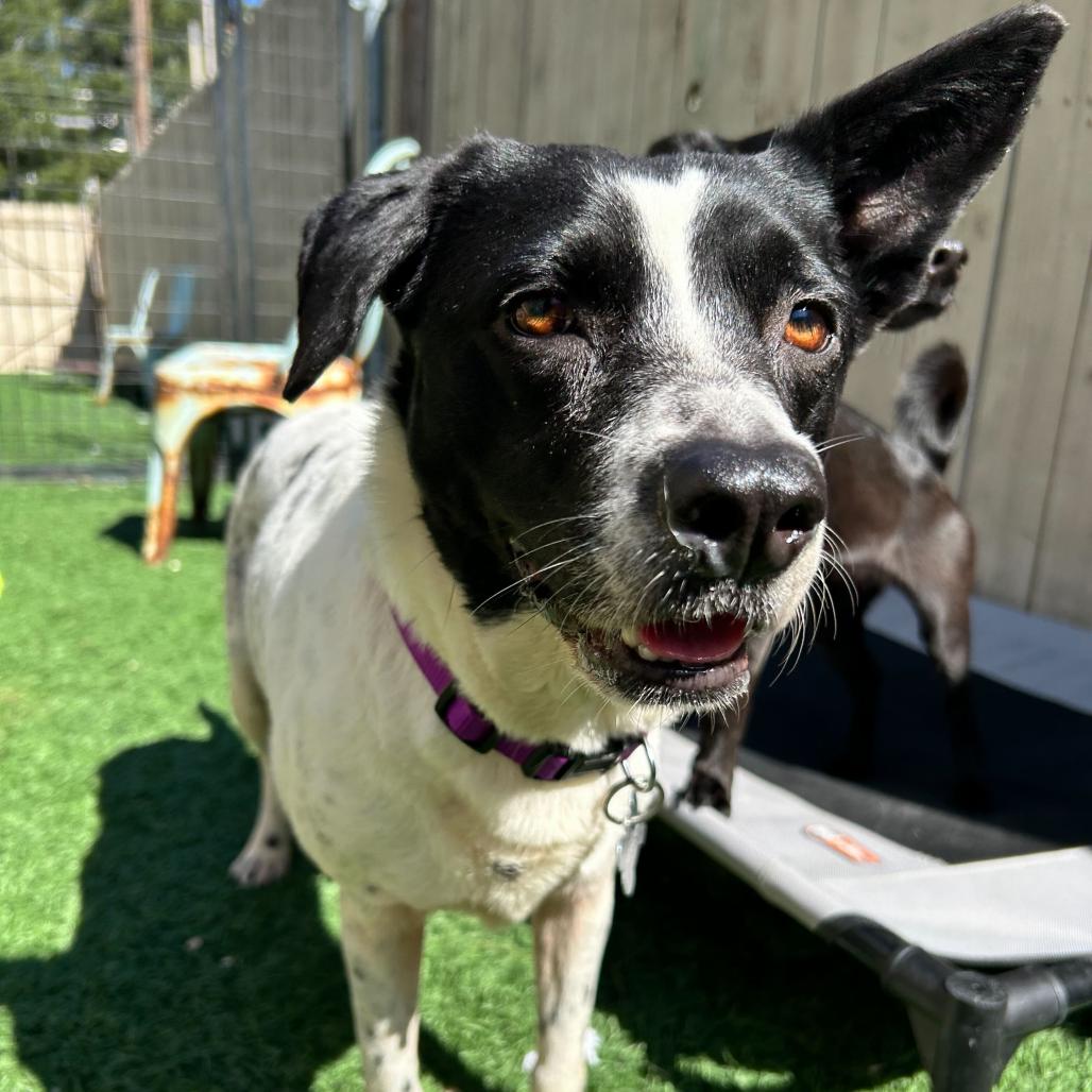 Michelle — thumbnail 4