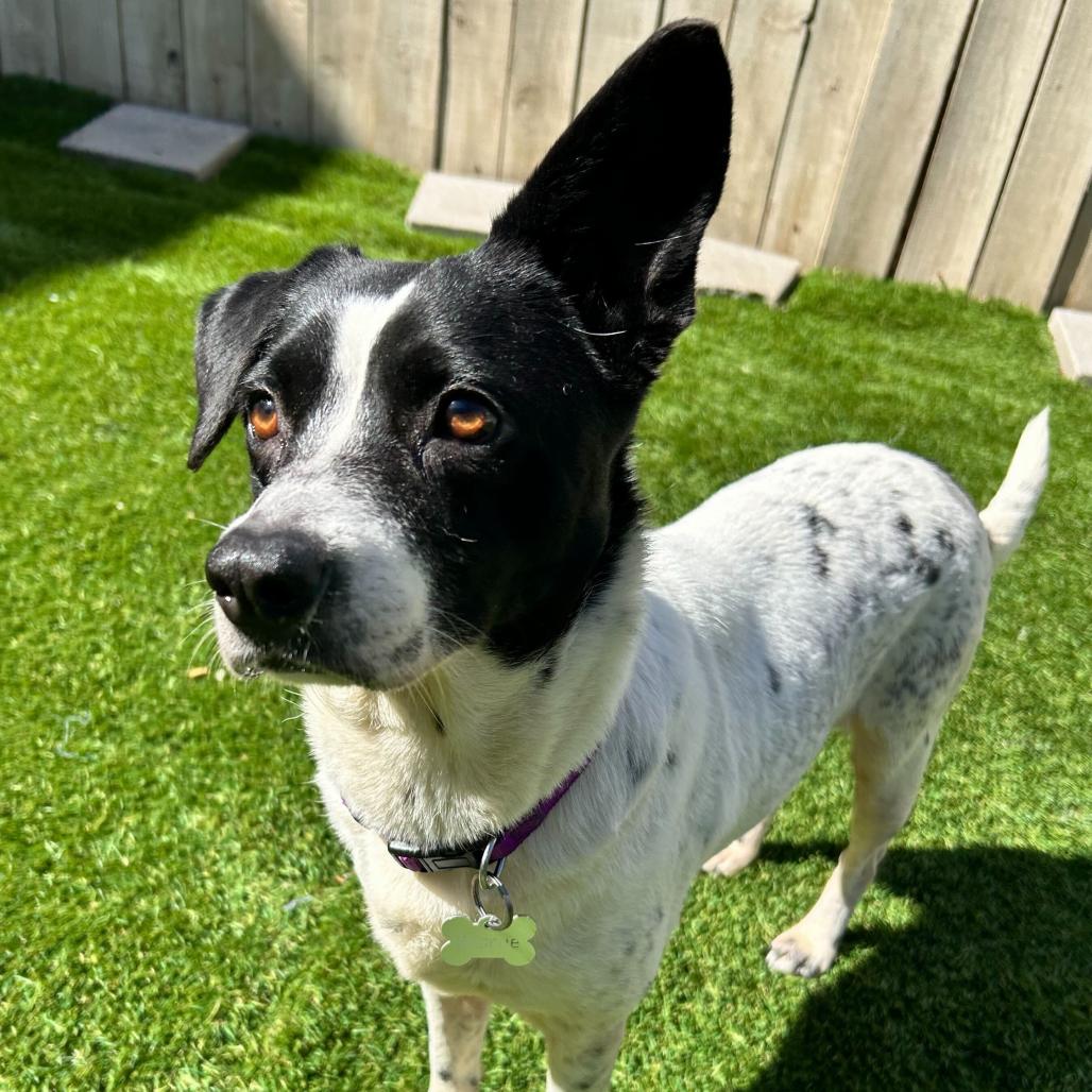 Michelle — thumbnail 5