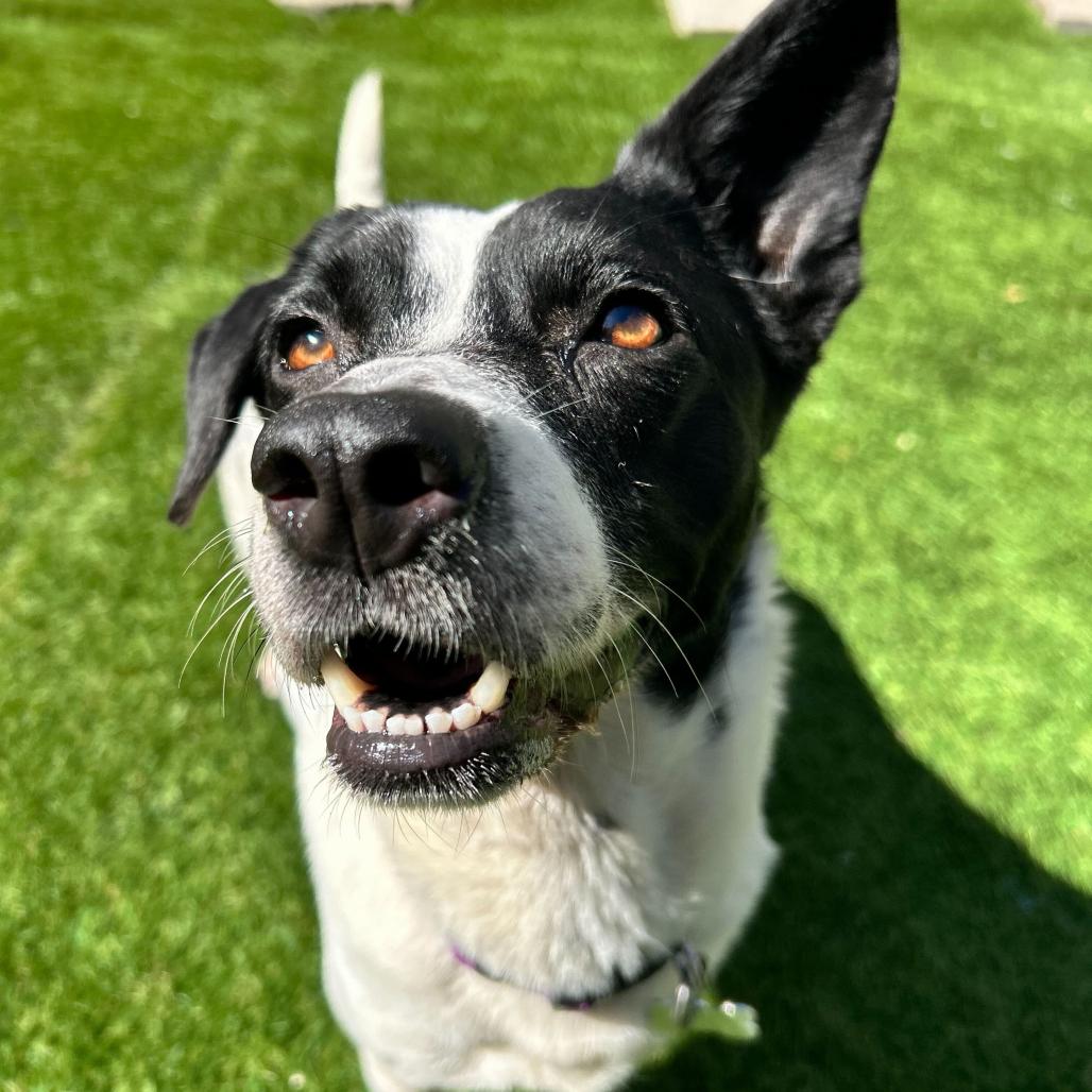 Michelle — thumbnail 6