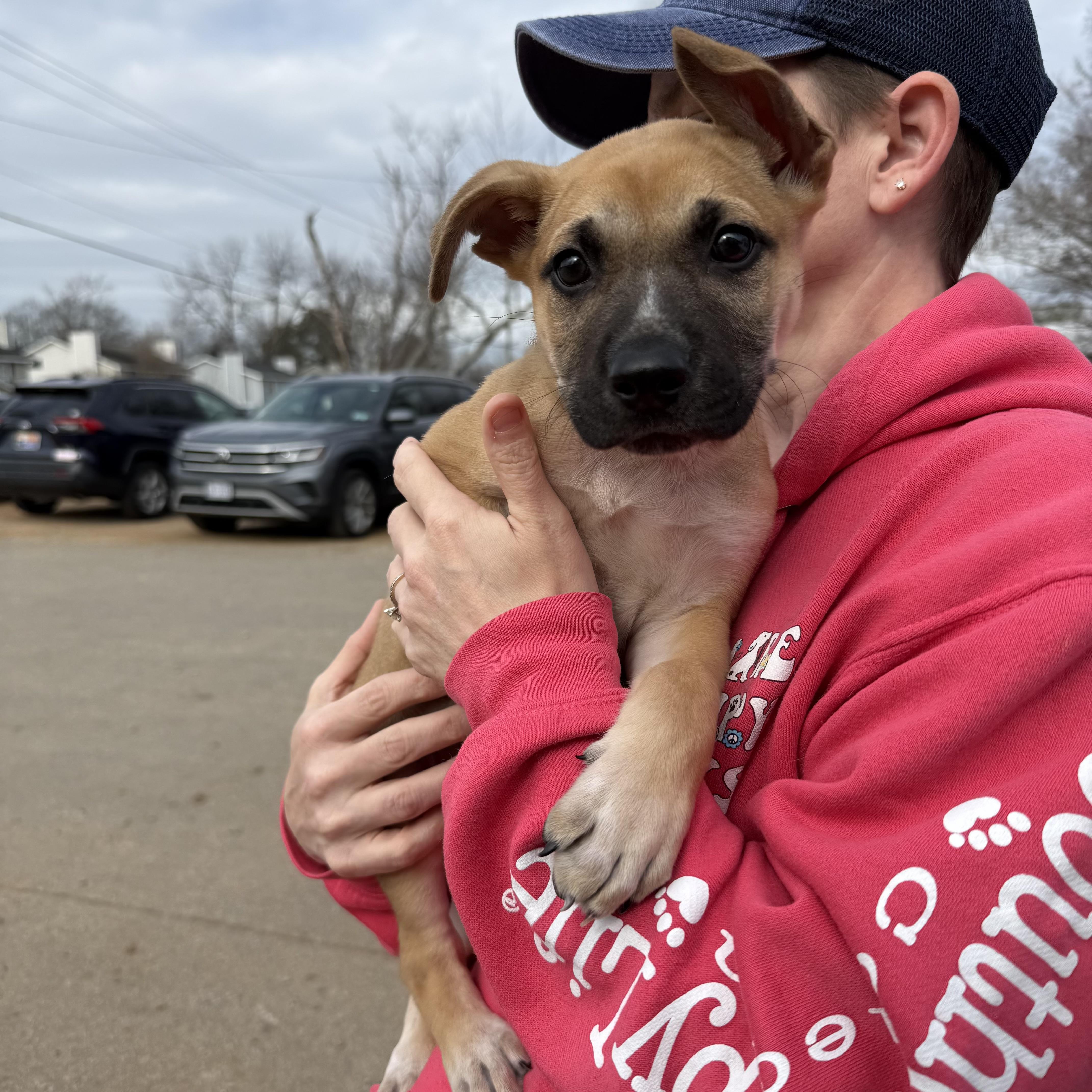 Impending Snowstorm — thumbnail 3