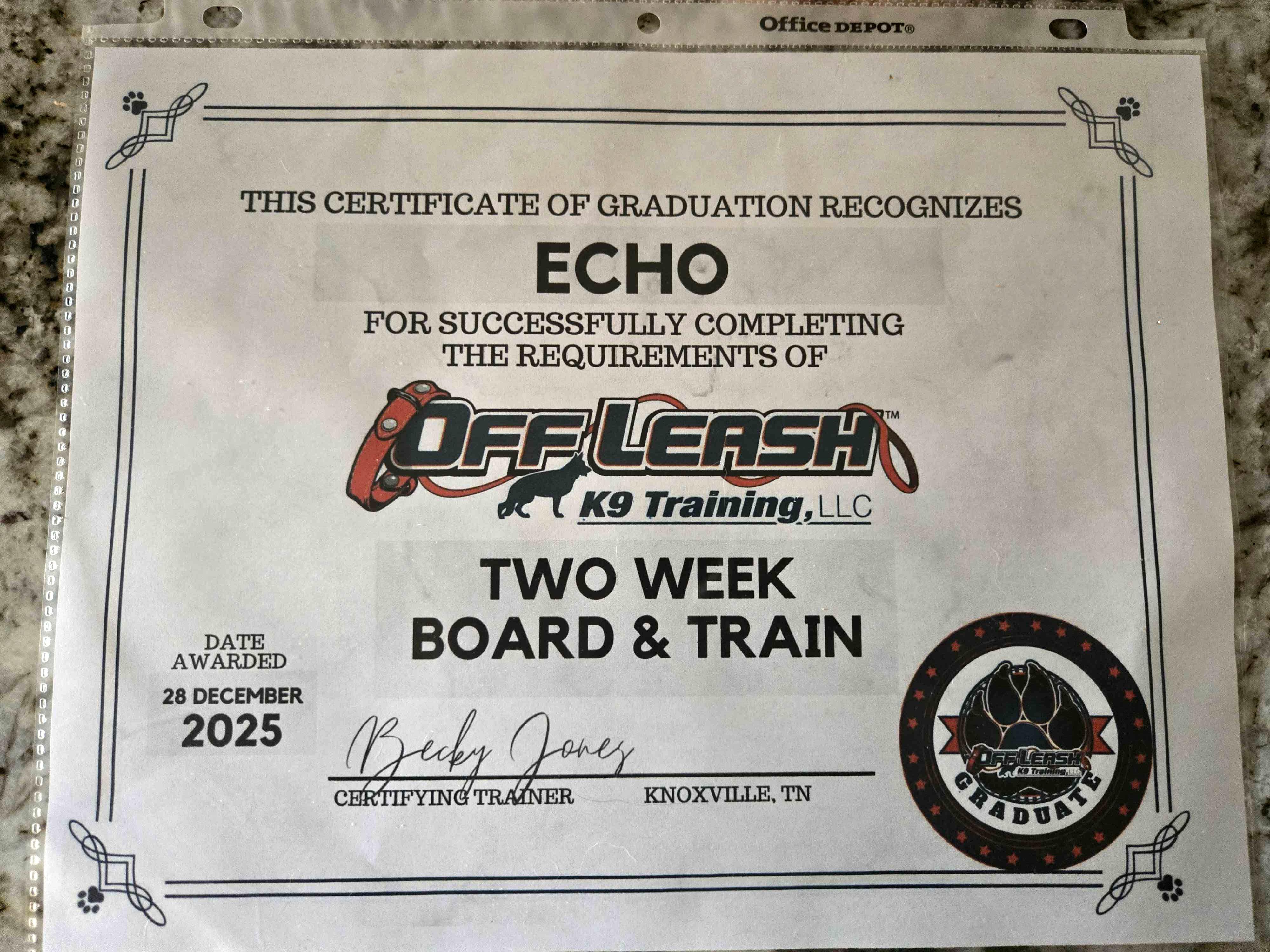 Enlarge Echo, a Adoptable mixed breed in Knoxville, TN image 3/5