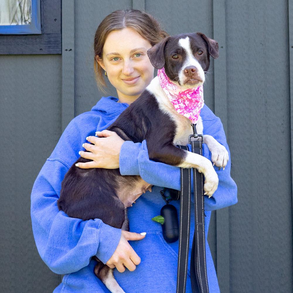 Enlarge Jenny (Female) , a Adoptable mixed breed in West Grove, PA image 5/6