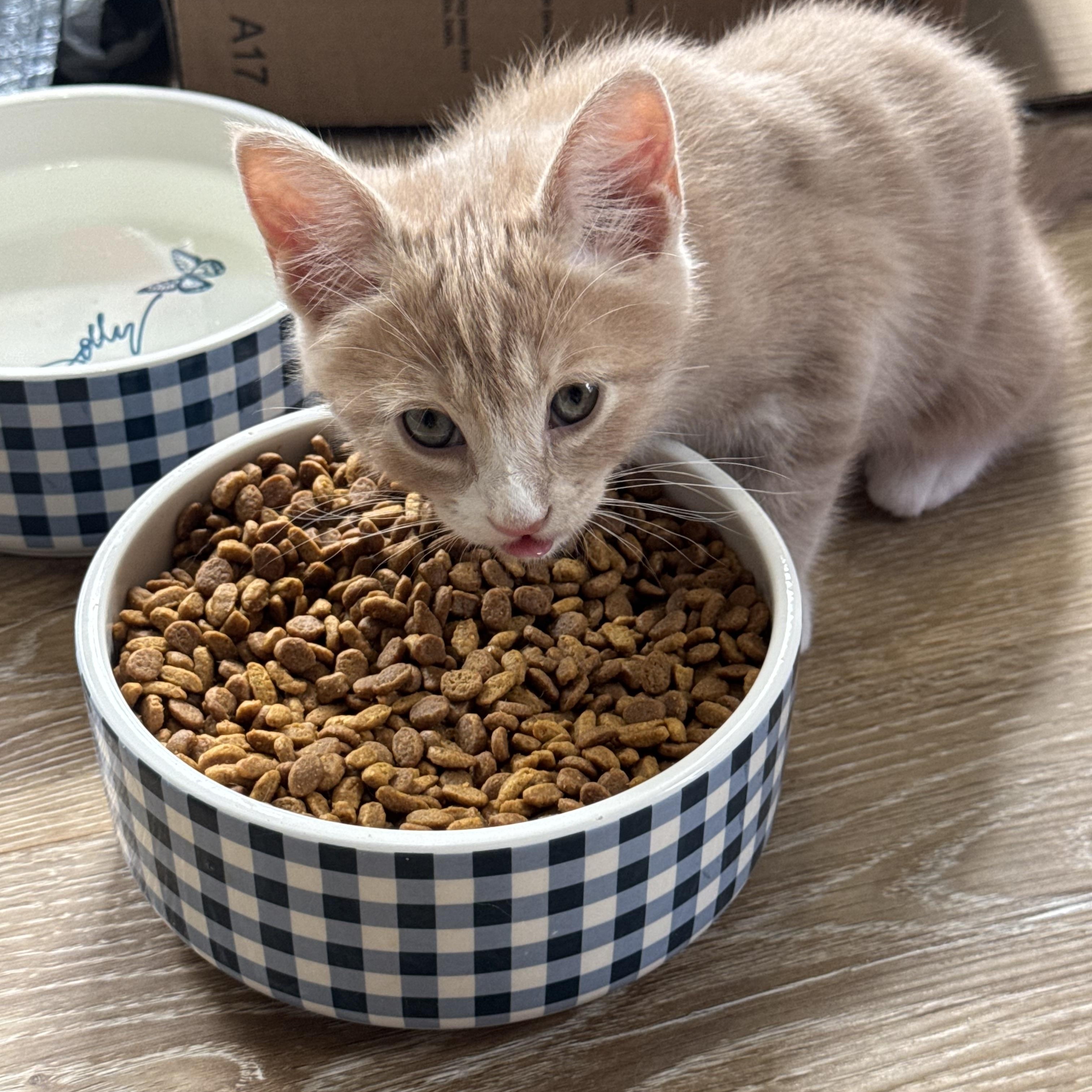 Monty photo 1