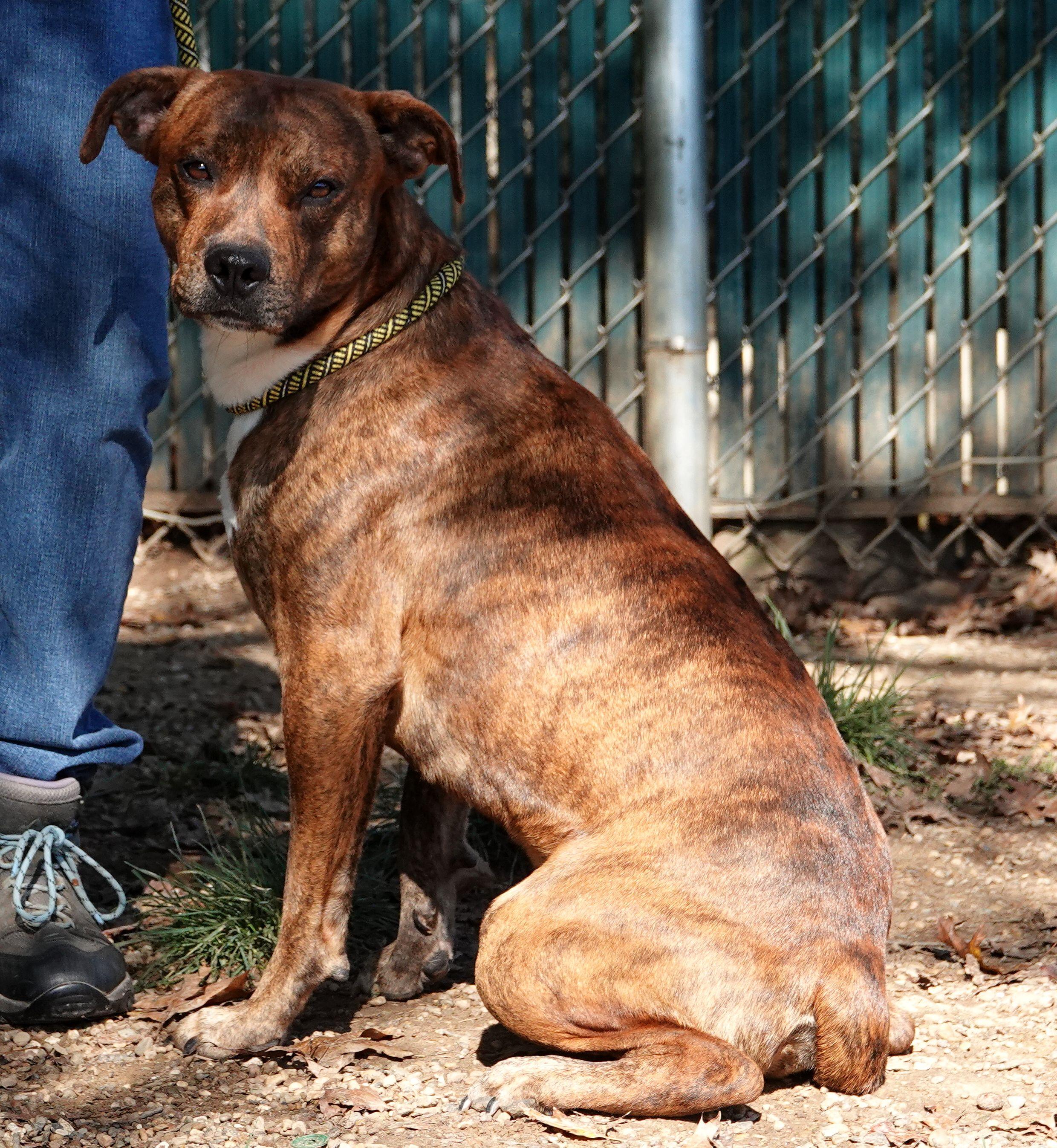 Wilson - UPDATED INFO photo