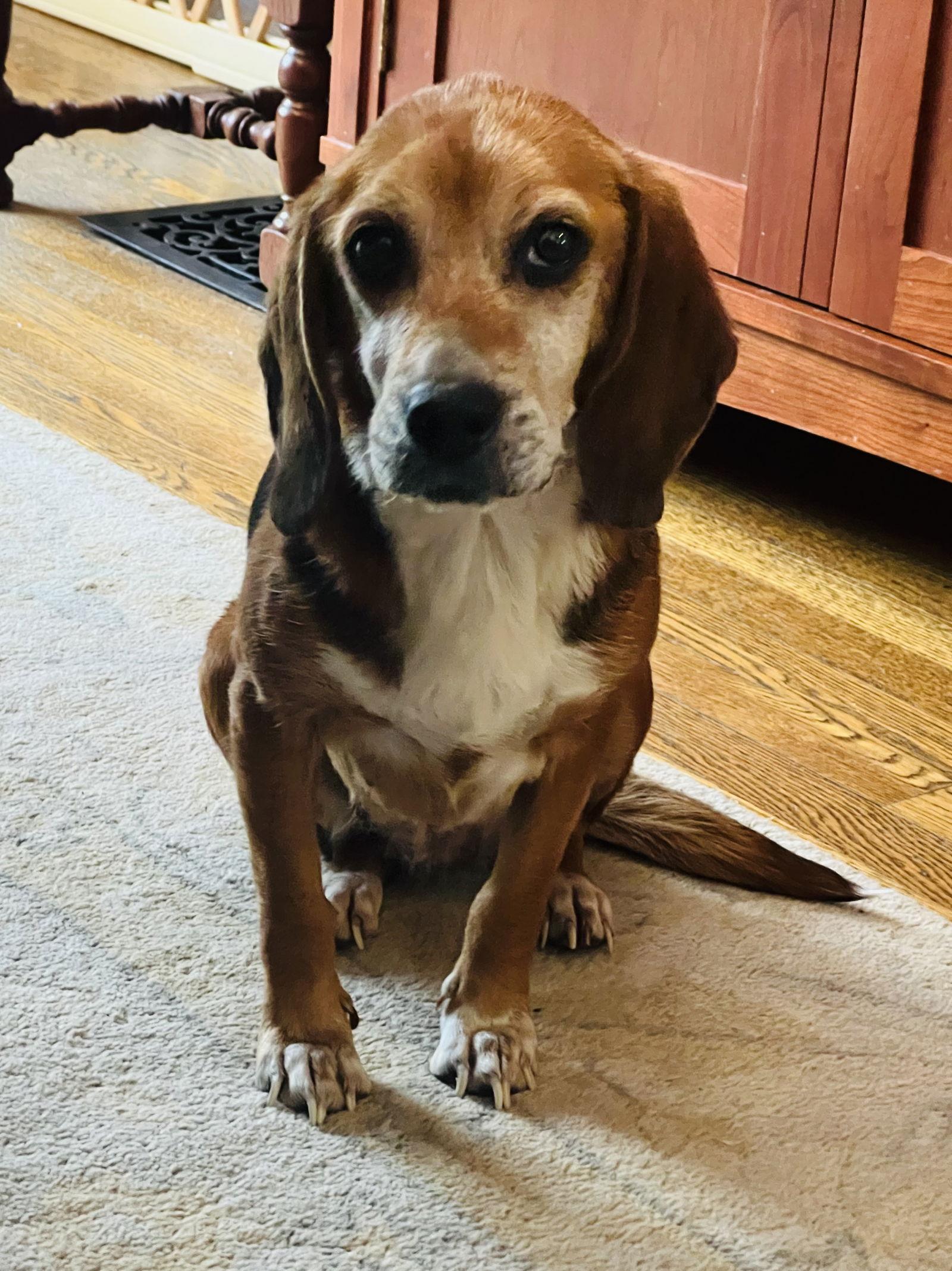 Nicolette “nicki” thumbnail 2