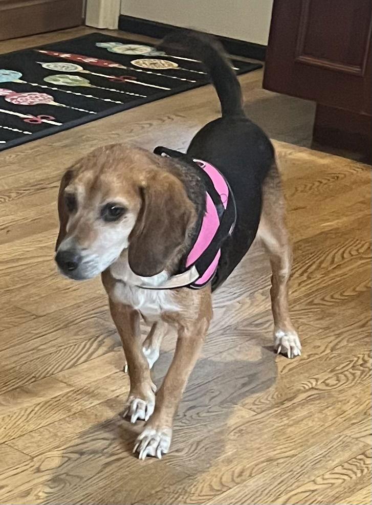 Nicolette “nicki” thumbnail 3