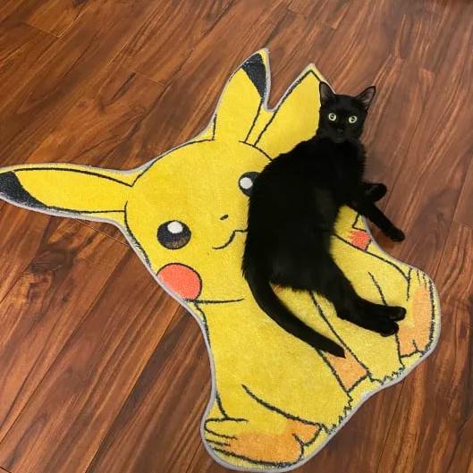 Enlarge Binky, a Adoptable Domestic Short Hair in Clearwater, FL image 4/6