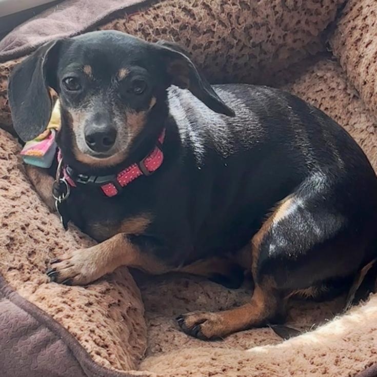 Bella