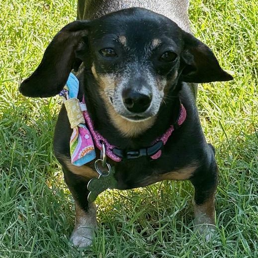 Bella