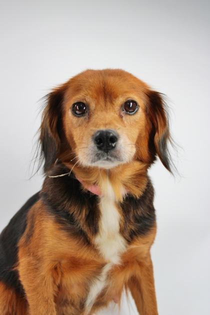 Reeses — thumbnail 2