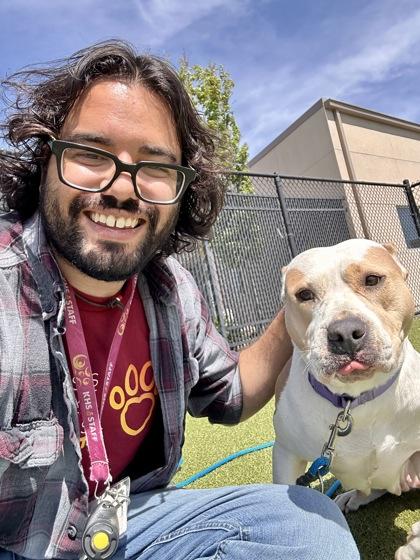 Enlarge Ham, a Adoptable mixed breed in Wichita, KS image 3/3