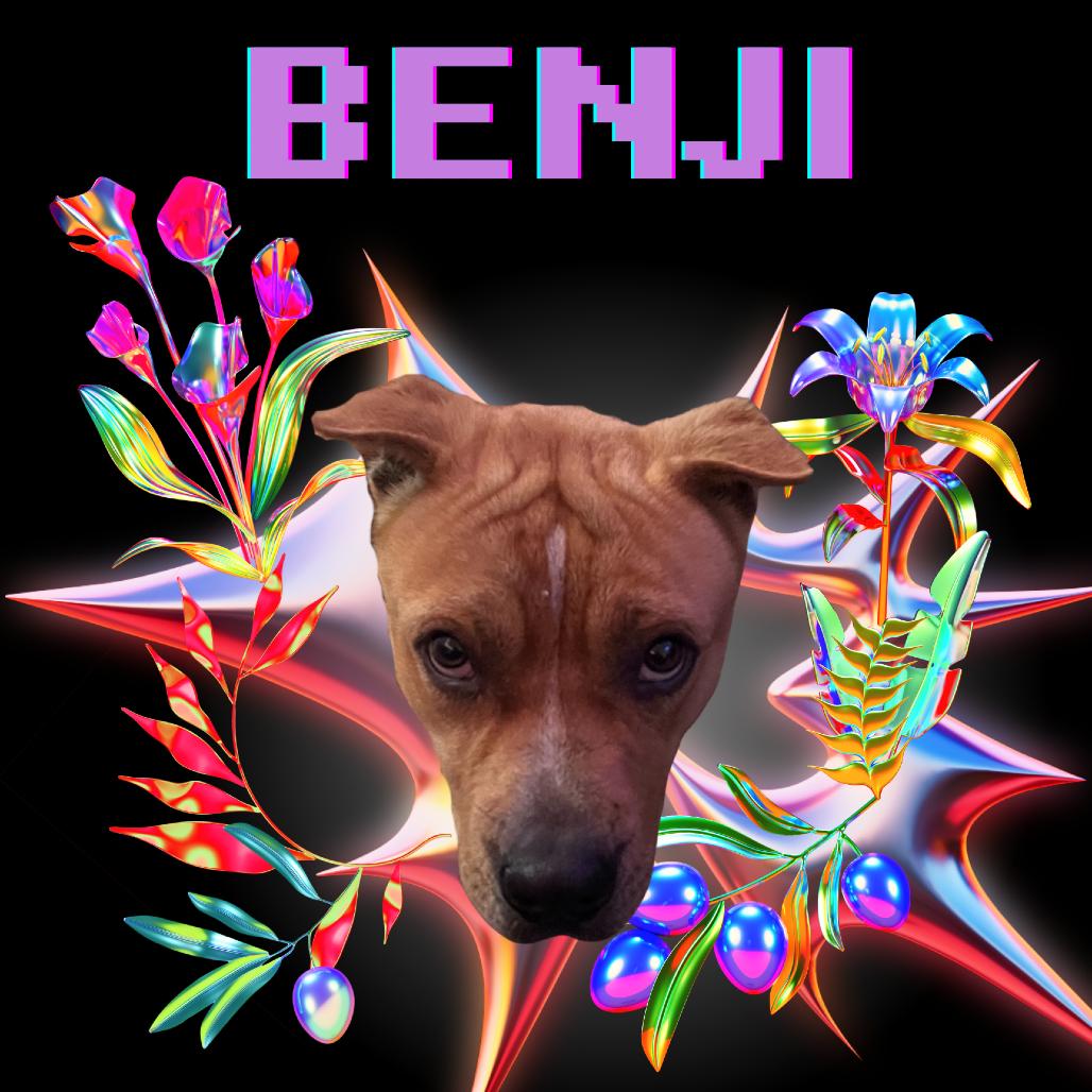 Benji — thumbnail 2